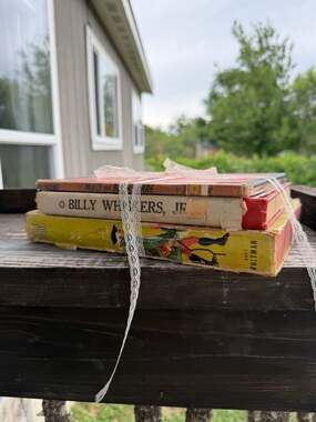 Vintage Children's Book Lot: Mother Goose, Billy Whiskers Jr., and Molly the Bla